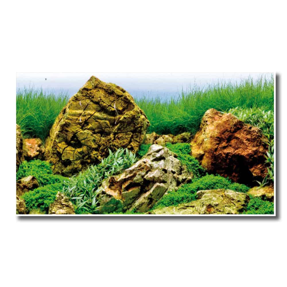 Amtra Sfondo Doppio Vision in Blister 150x60H cm Amtra Sfondo Doppio Vision in Blister 150x60H cm